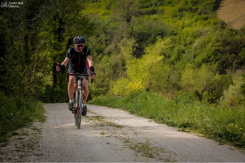noleggio bici Cattolica